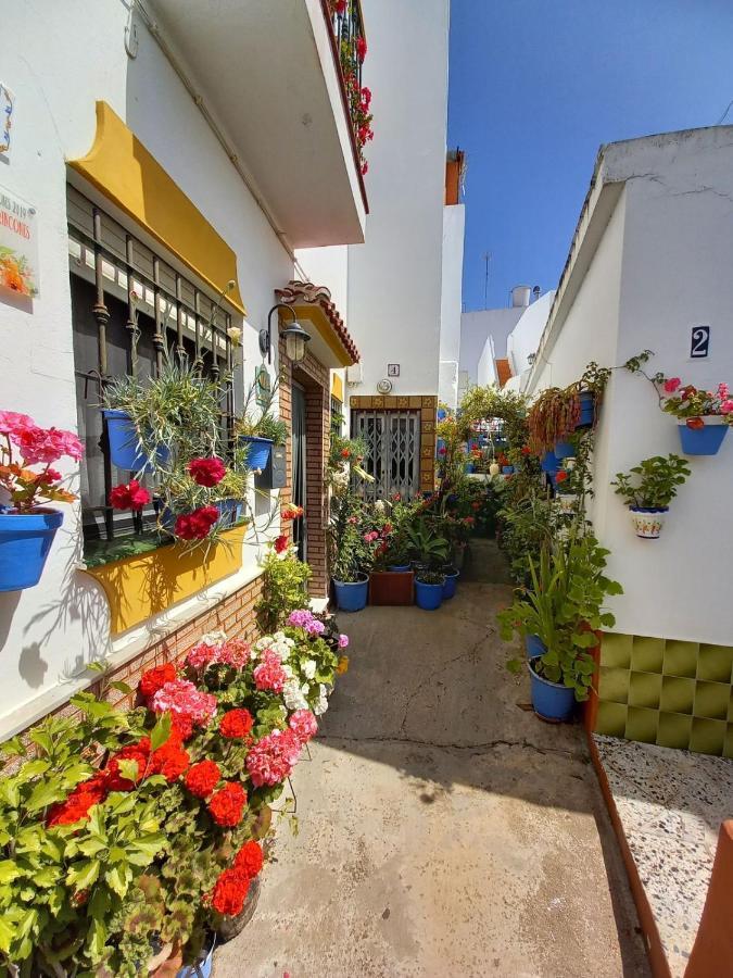 Brand New - Casa El Cuartel With Private Seaview Rooftop Conil De La Frontera Exterior foto